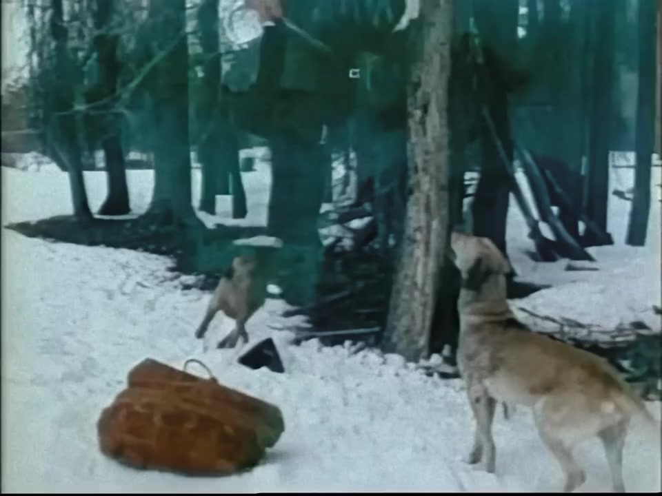The Legend of Sleepy Hollow screenshot 2