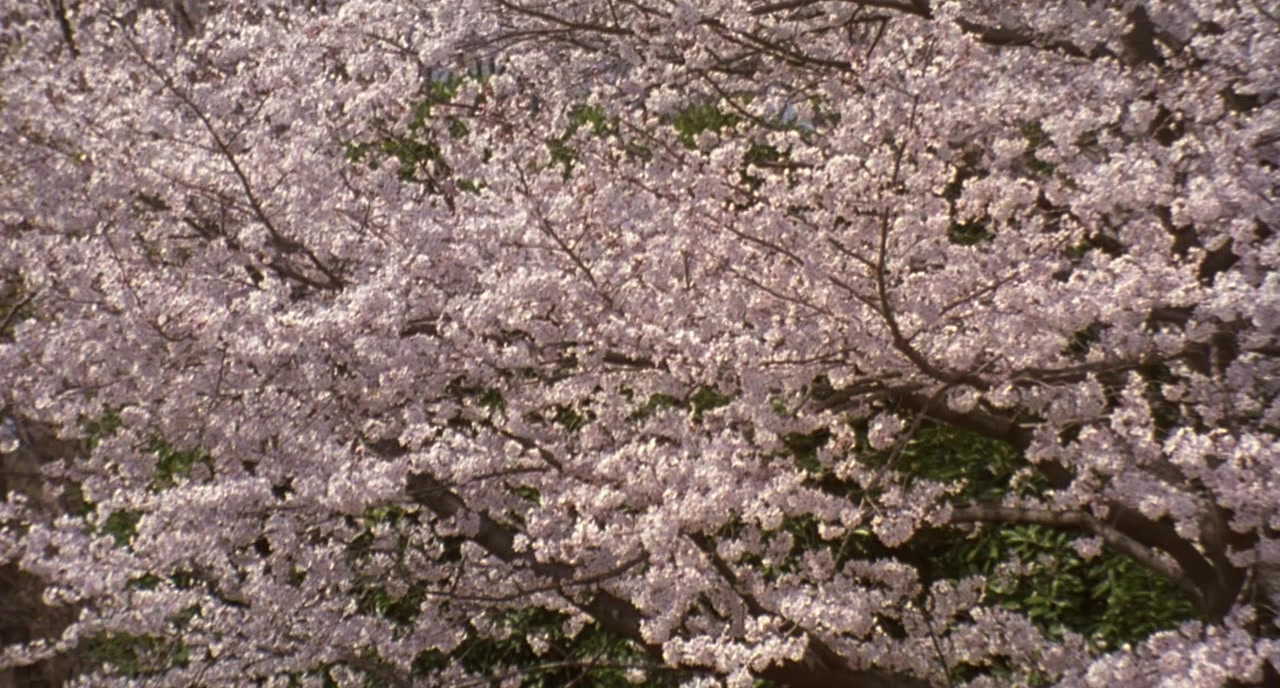 Tegami screenshot 1