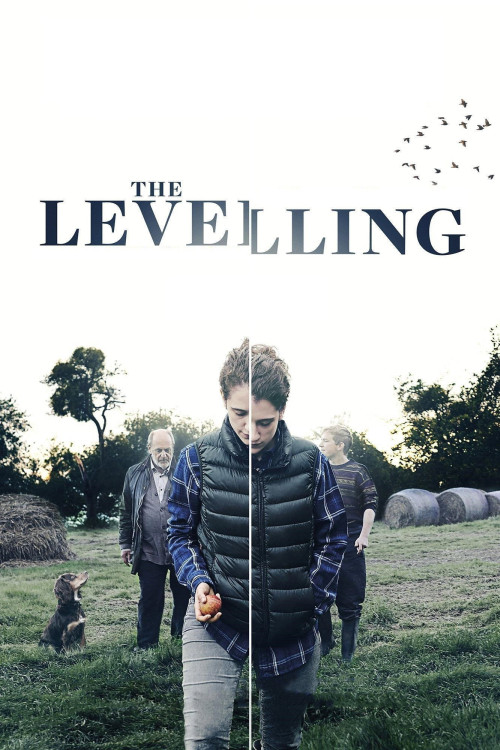 The Levelling (2016) poster