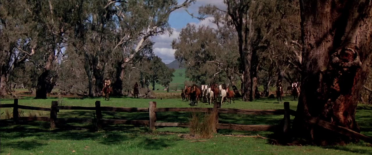 The Lighthorsemen screenshot 1