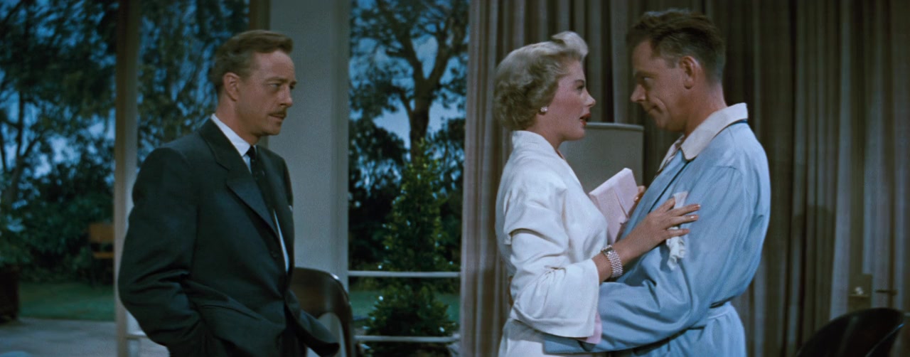 The Lieutenant Wore Skirts screenshot 3