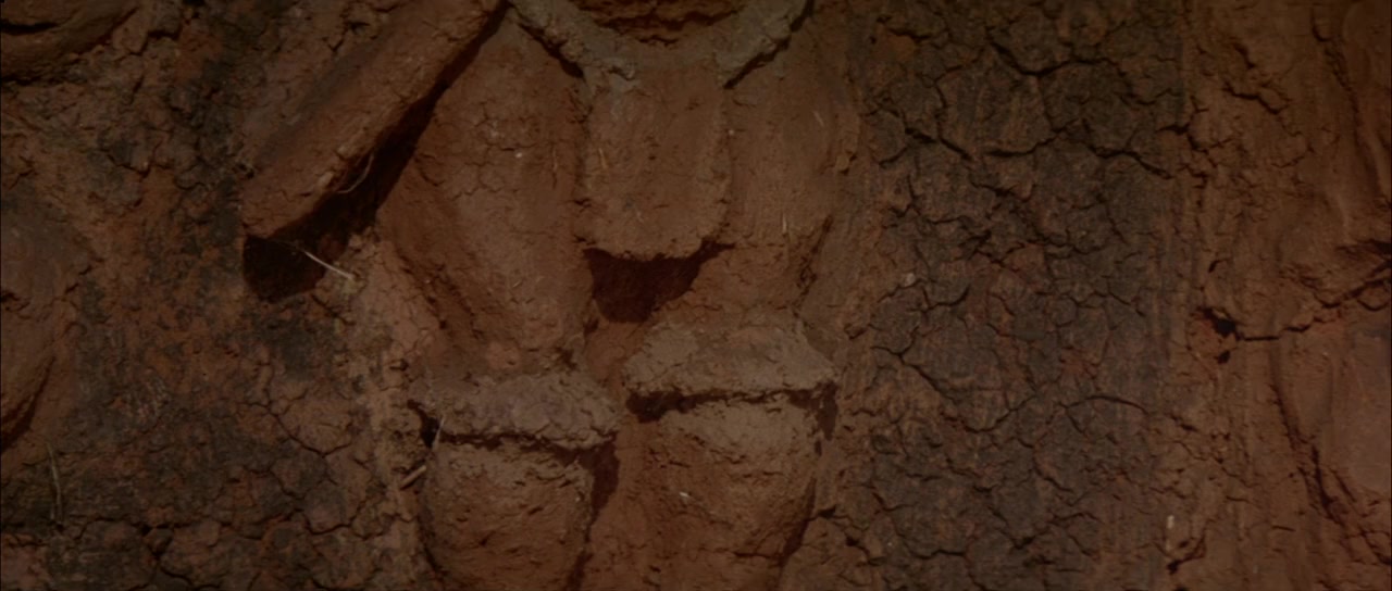 L'enfant lion screenshot 2