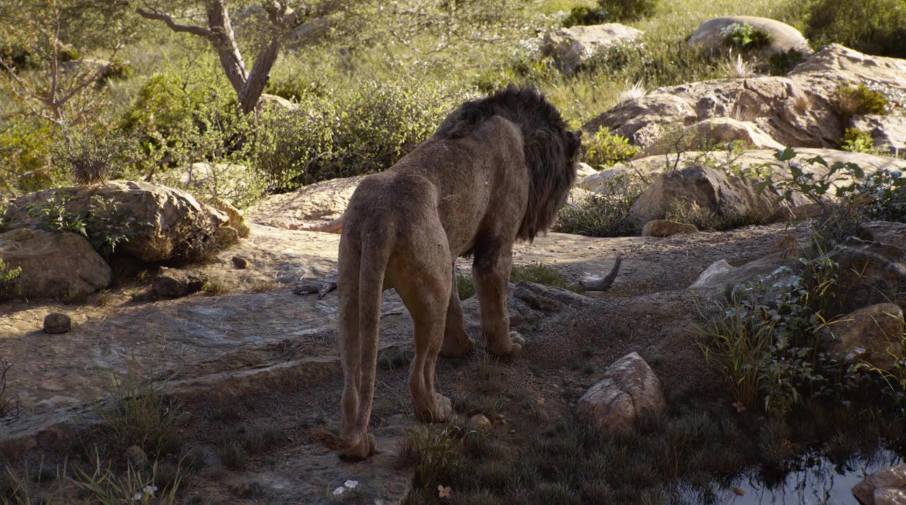 The Lion King screenshot 1