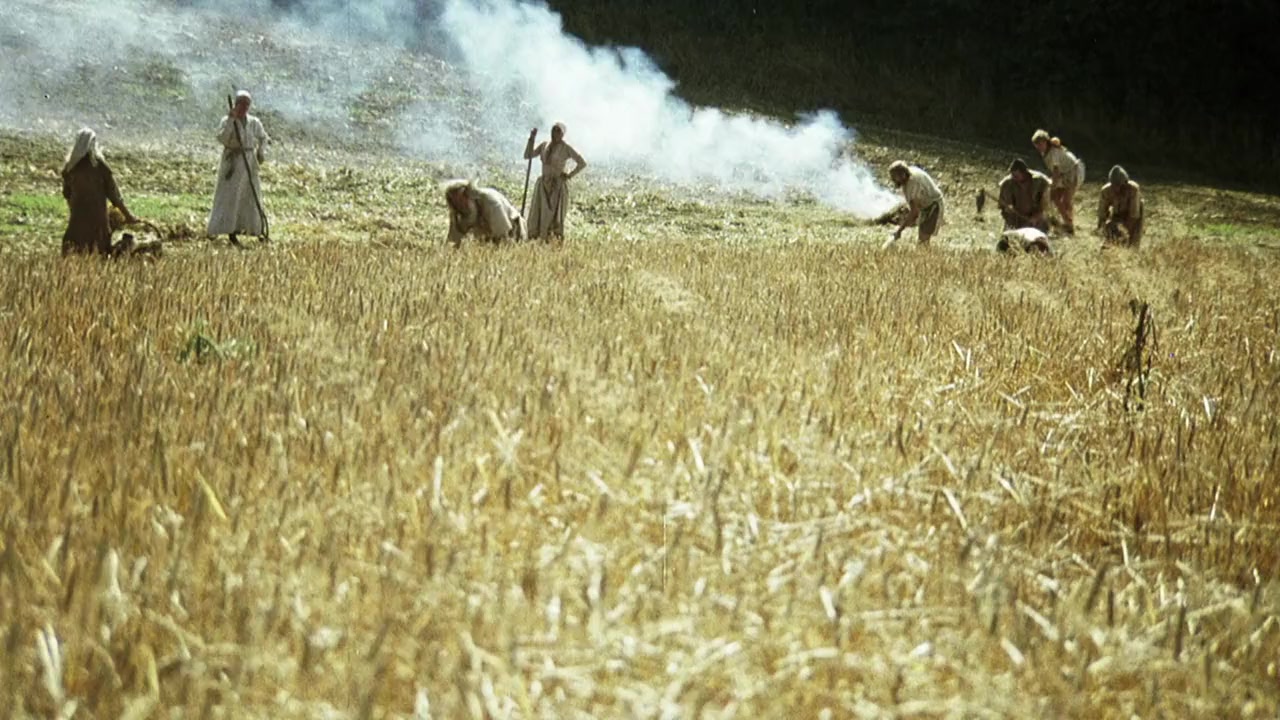 De leeuw van Vlaanderen screenshot 1