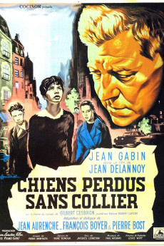Chiens perdus sans collier (1955) poster