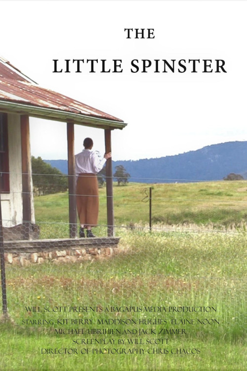 The Little Spinster (2024) poster