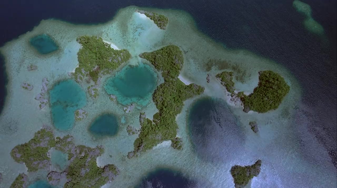 The Living Sea screenshot 1