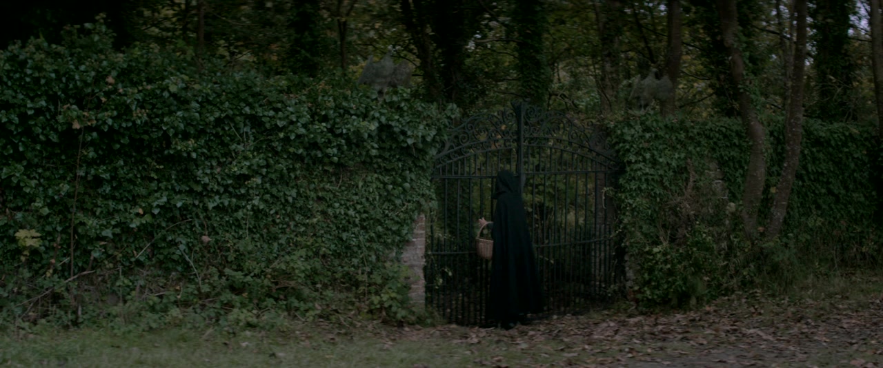 The Lodgers screenshot 1
