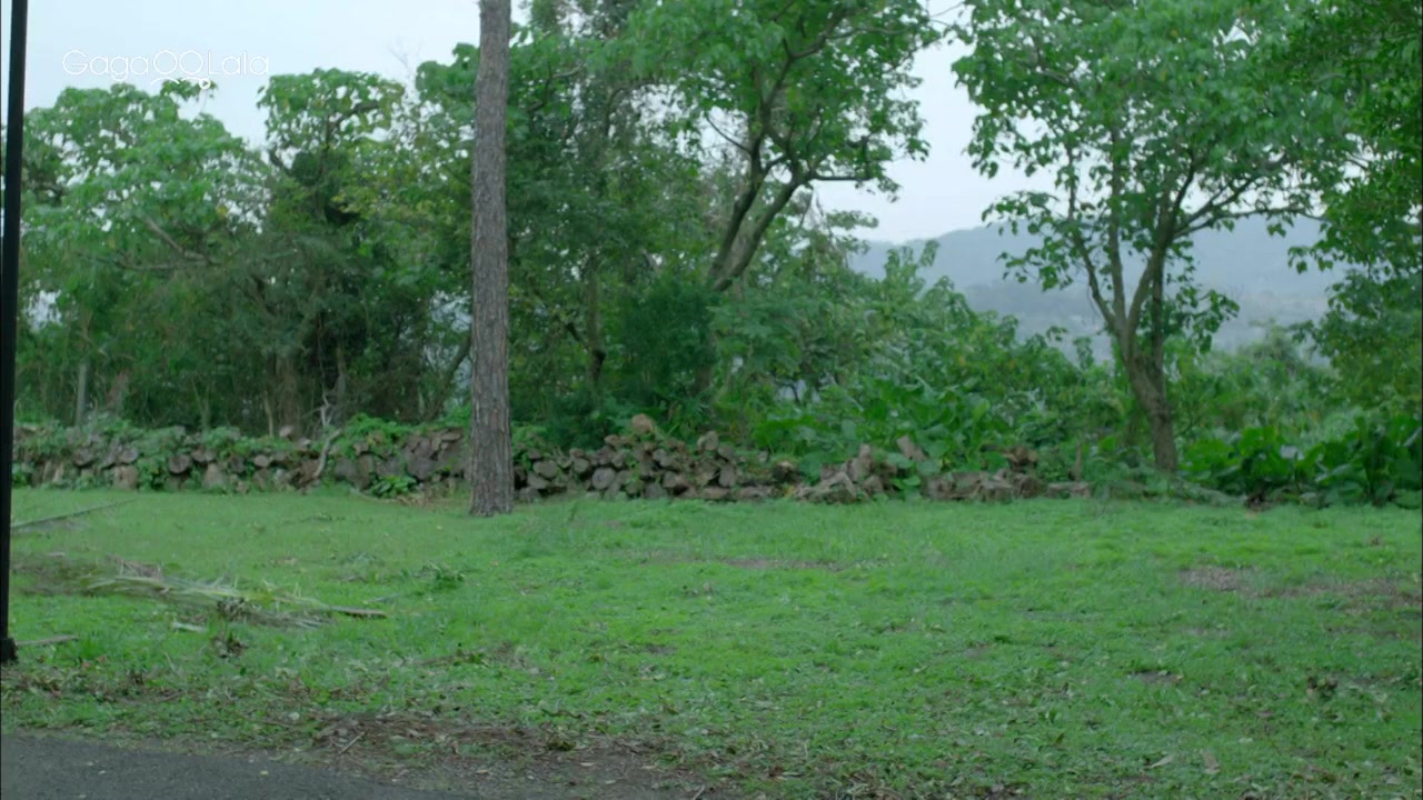 The Long Goodbye screenshot 1
