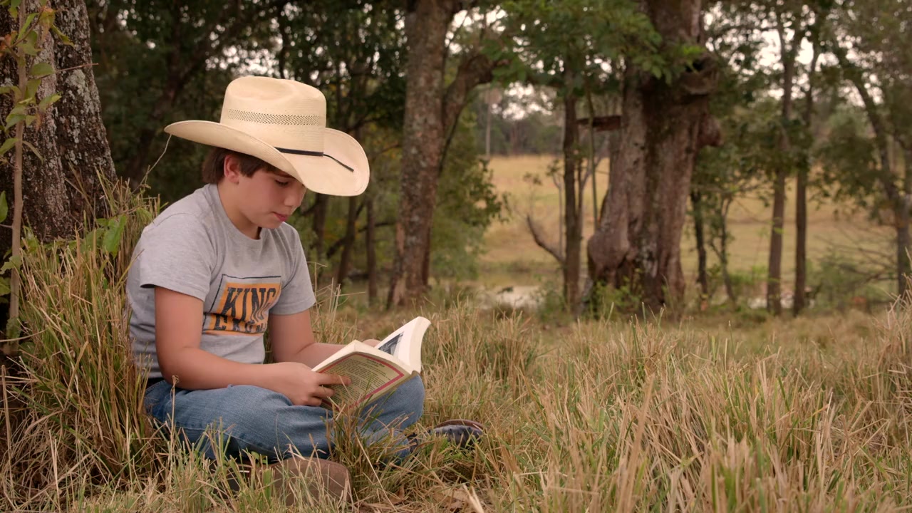 The Long Rider screenshot 1