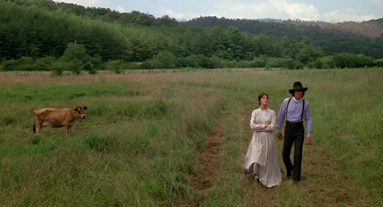 The Long Riders screenshot 1
