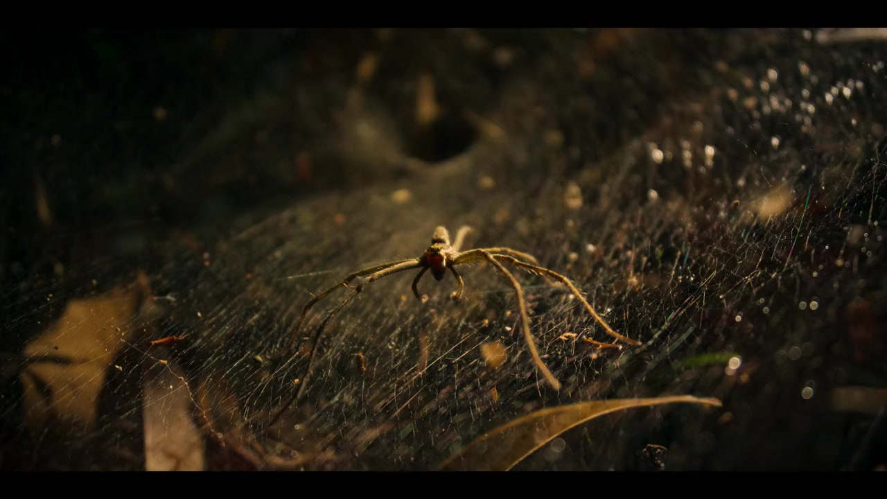 The Lost Children screenshot 3