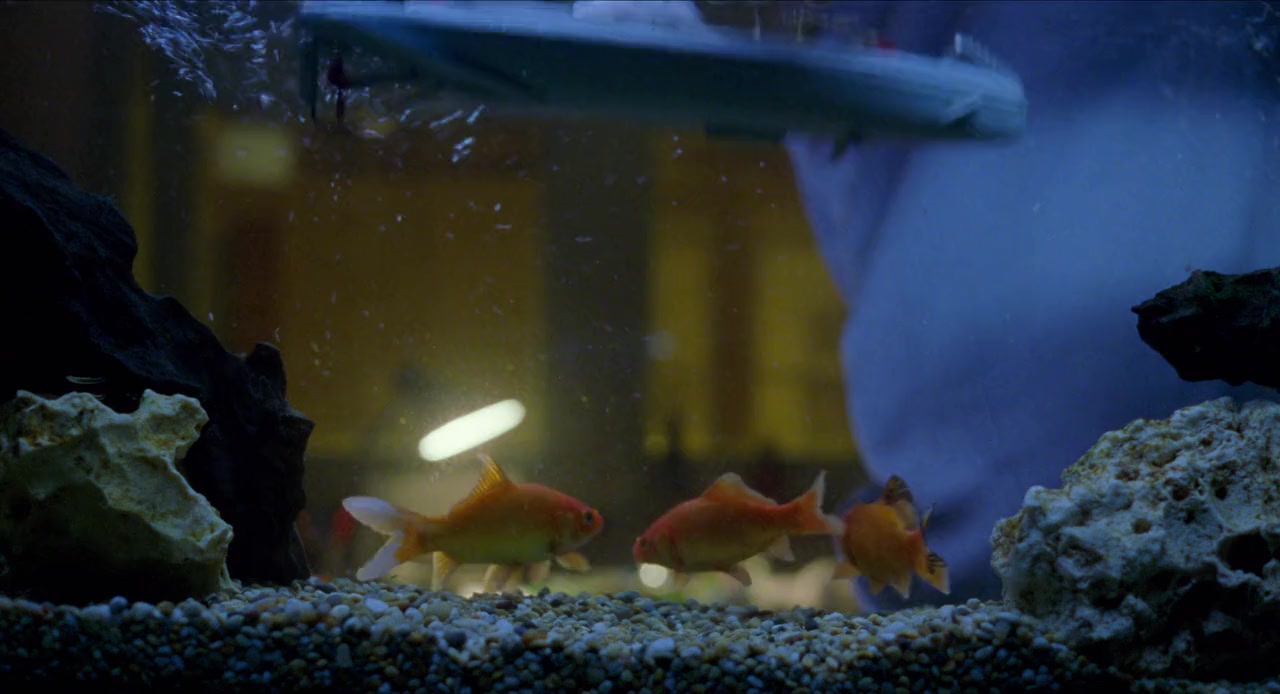 The Lost Son screenshot 2