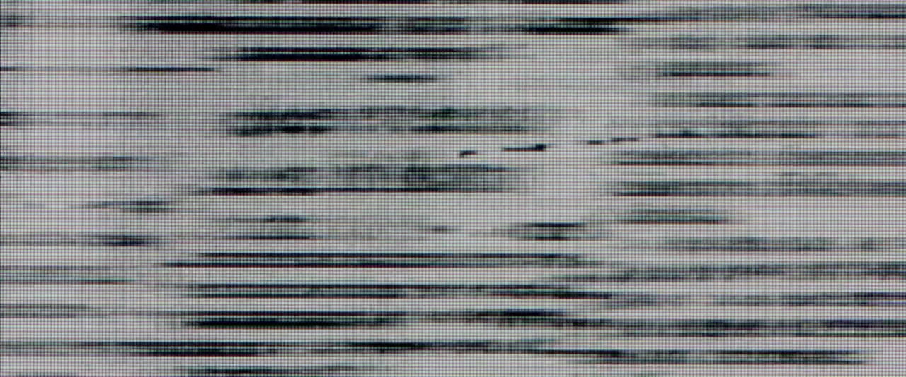The Lost Sons screenshot 1