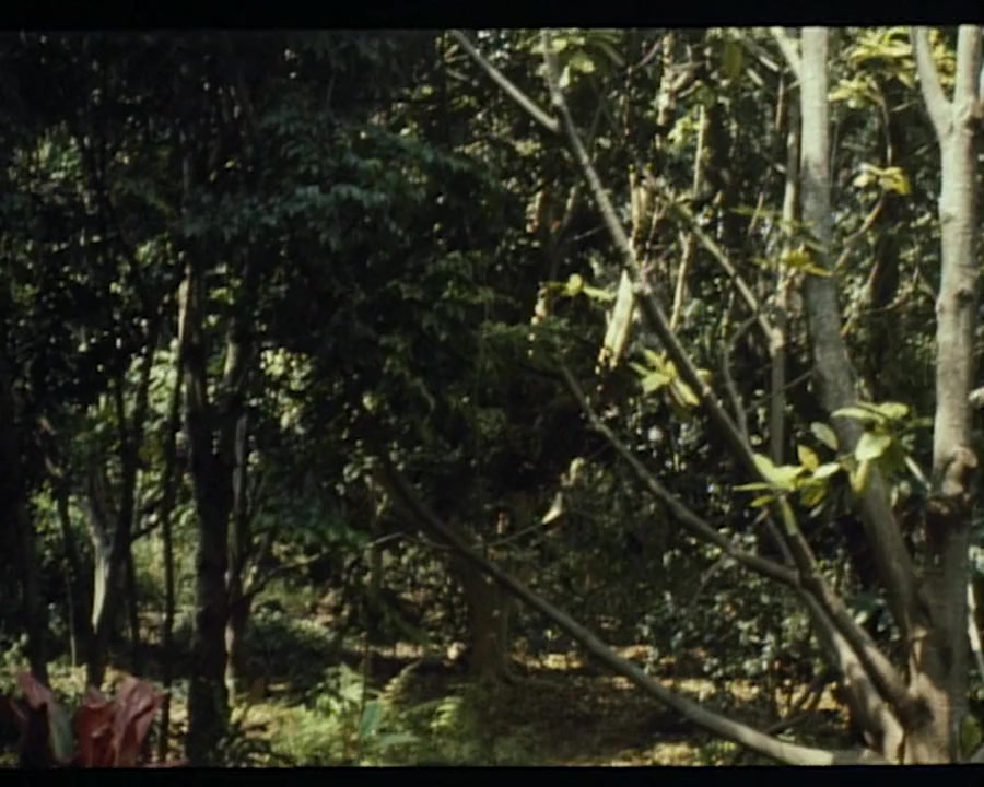 The Lost World screenshot 1