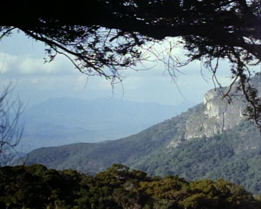The Lost World screenshot 2