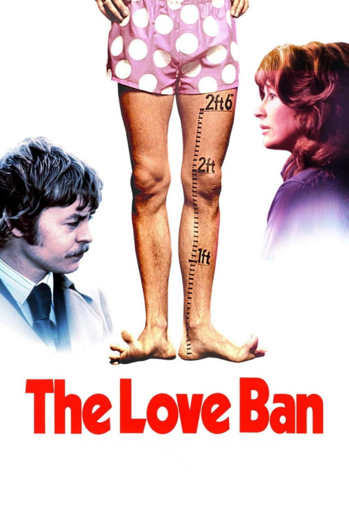 The Love Ban (1973) poster