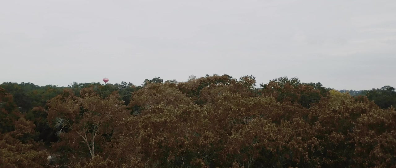 The Pumpkin Man screenshot 2