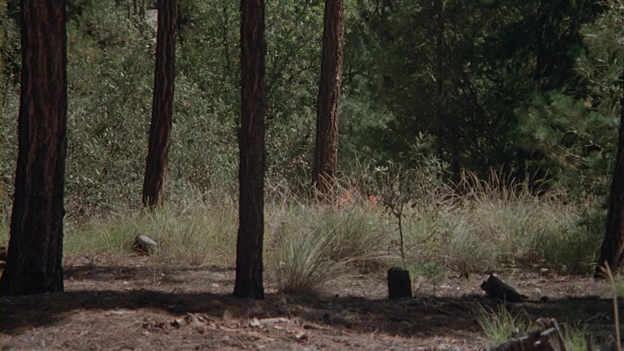 The Pursuit of D.B. Cooper screenshot 1