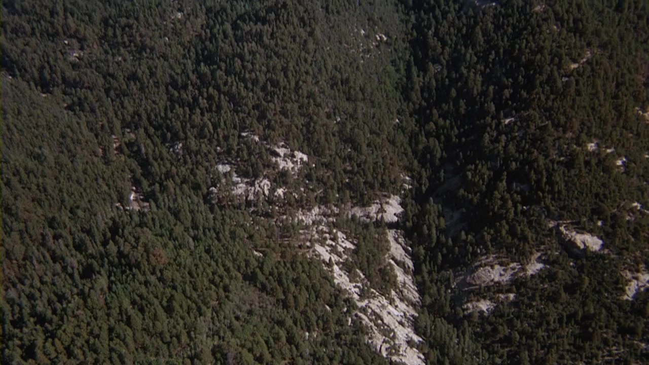 The Pursuit of D.B. Cooper screenshot 2