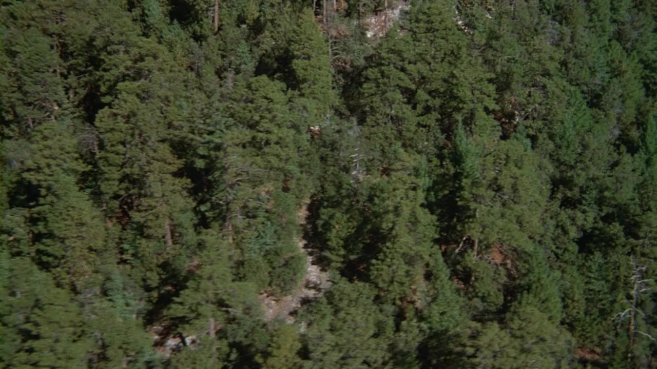 The Pursuit of D.B. Cooper screenshot 3