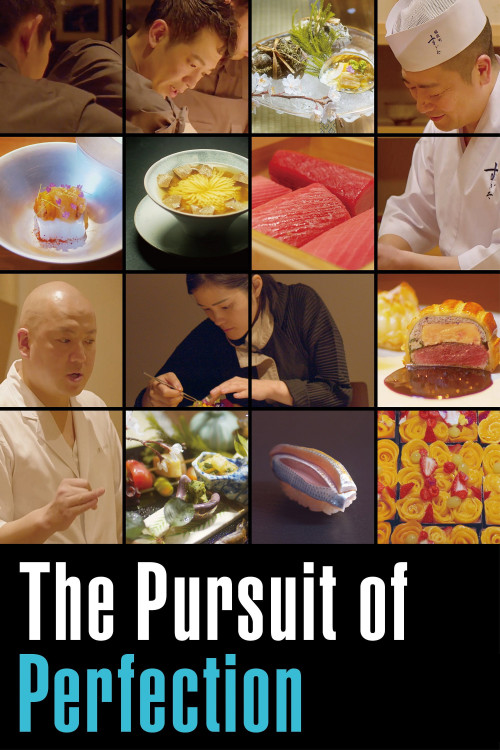 The Pursuit of Perfection (2021) poster