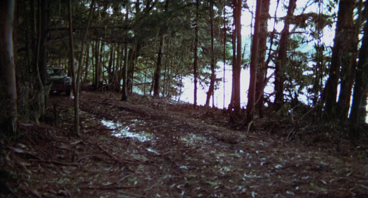 The Pack screenshot 1