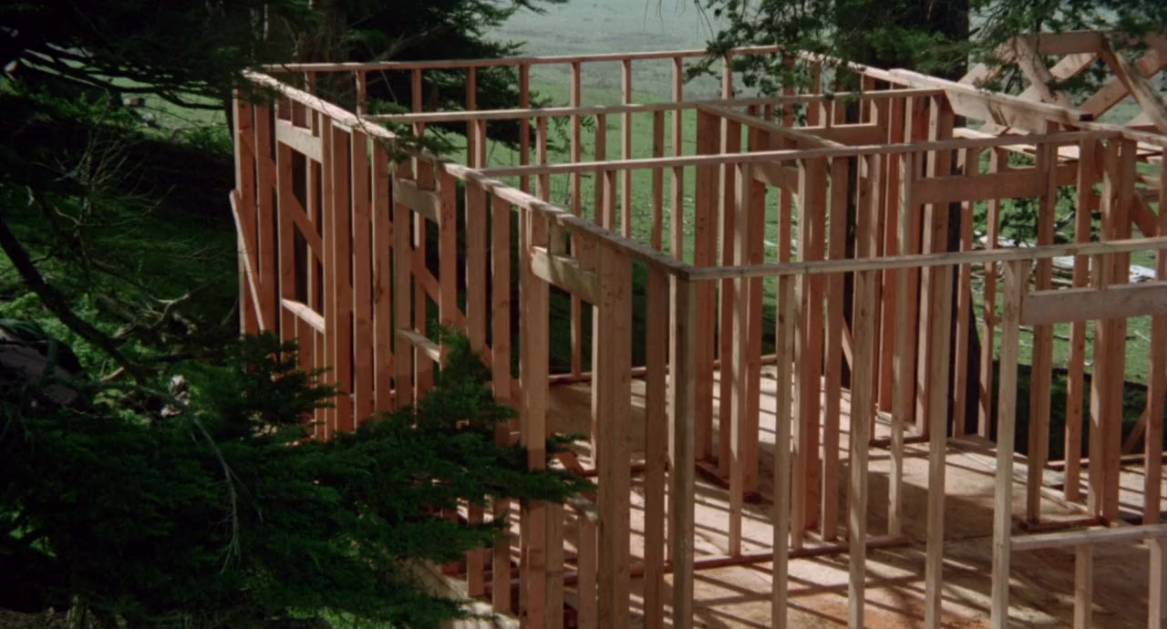 The Pack screenshot 2