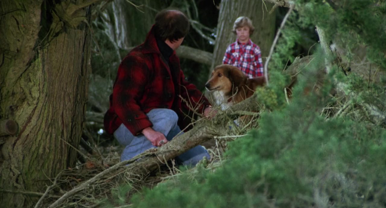 The Pack screenshot 3