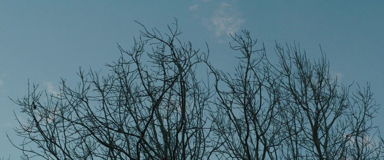 The Pack screenshot 2
