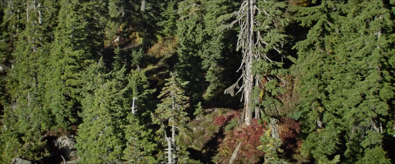The Package screenshot 1