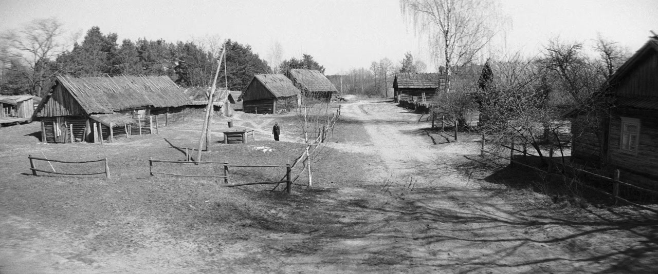 Nabarvené ptáce screenshot 3