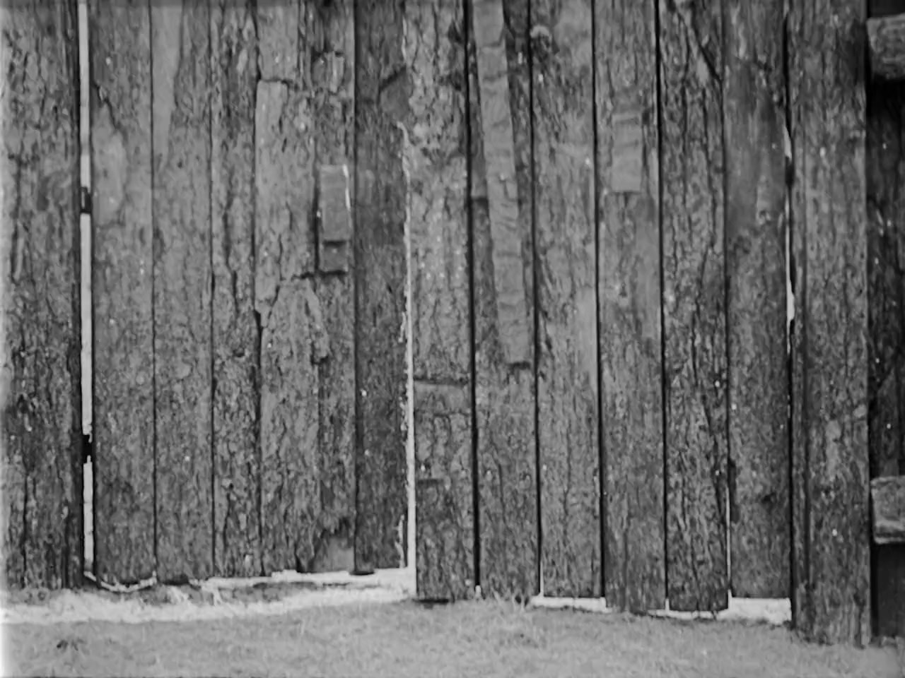 The Paleface screenshot 1