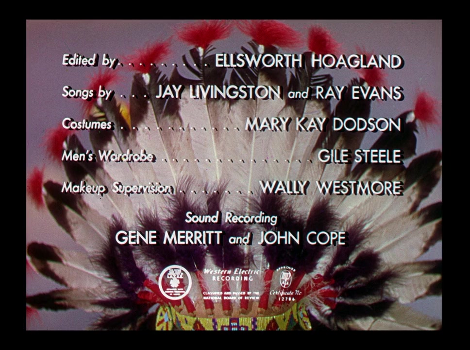 The Paleface screenshot 1