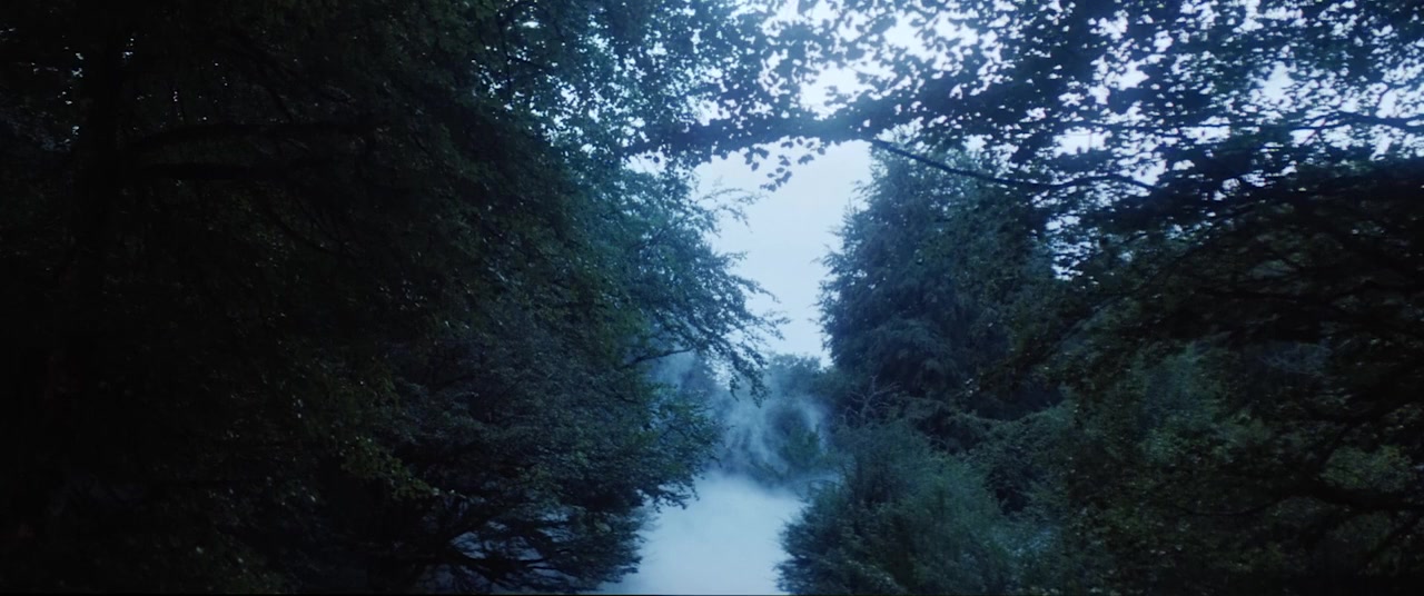La pasajera screenshot 1