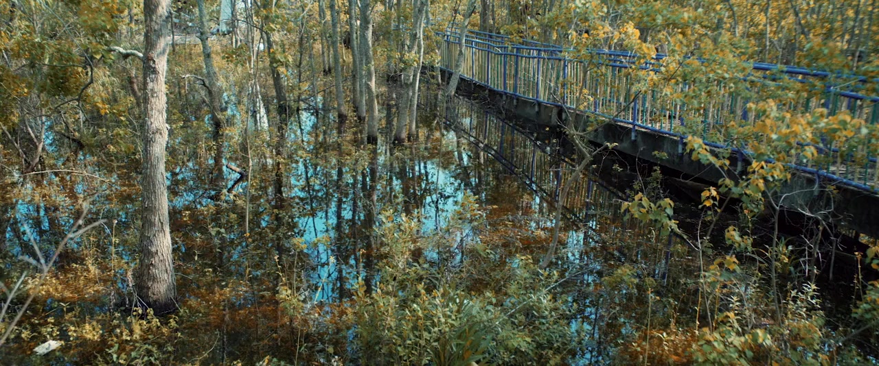 The Park screenshot 1