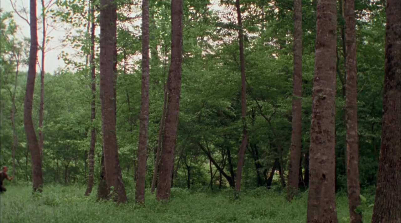 The Patron Saint of Liars screenshot 1