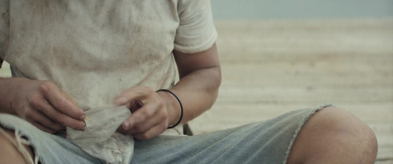 The Peanut Butter Falcon screenshot 3