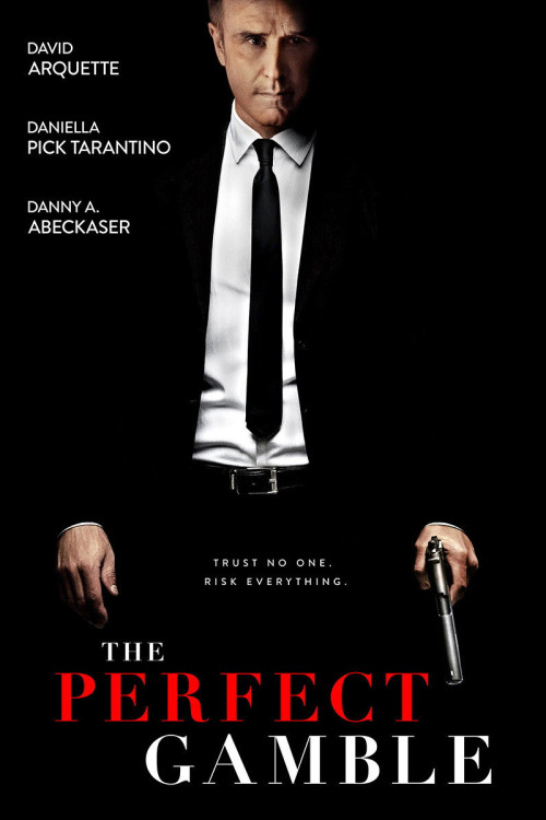 The Perfect Gamble (2025) poster