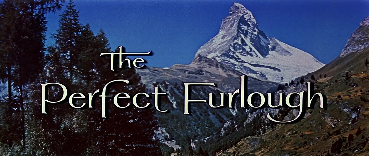The Perfect Furlough screenshot 1