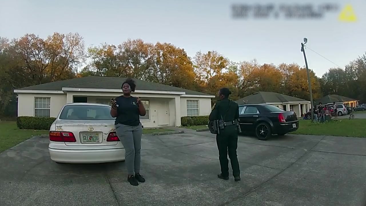 The Perfect Neighbor screenshot 3