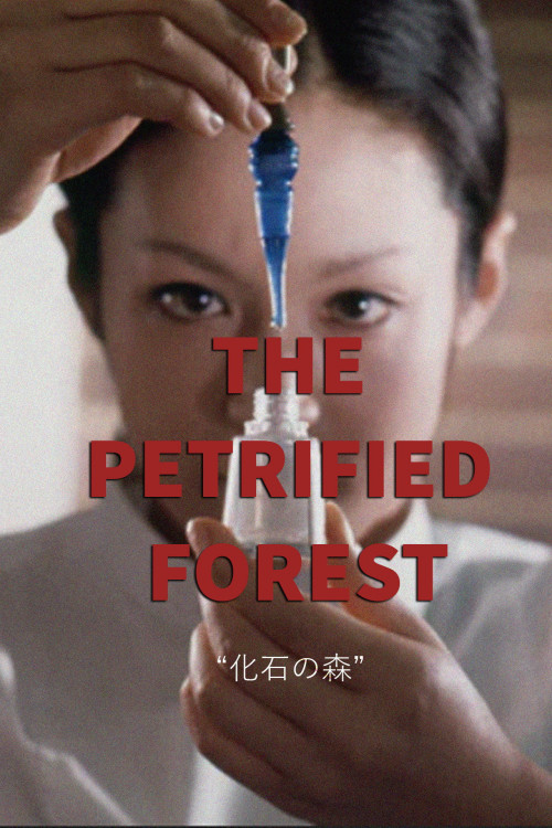 Kaseki no mori (1973) poster