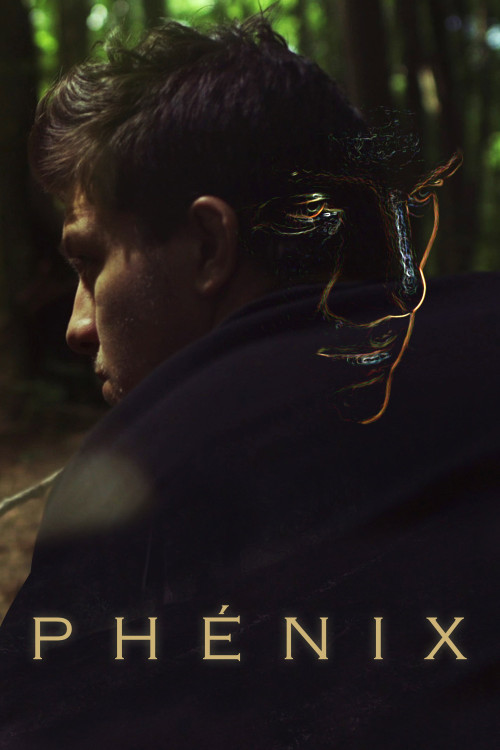 The Phoenix (2020) poster