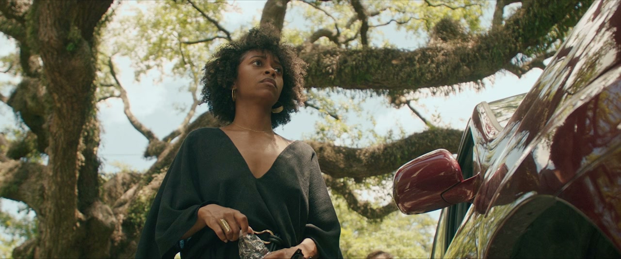 The Plantation screenshot 2