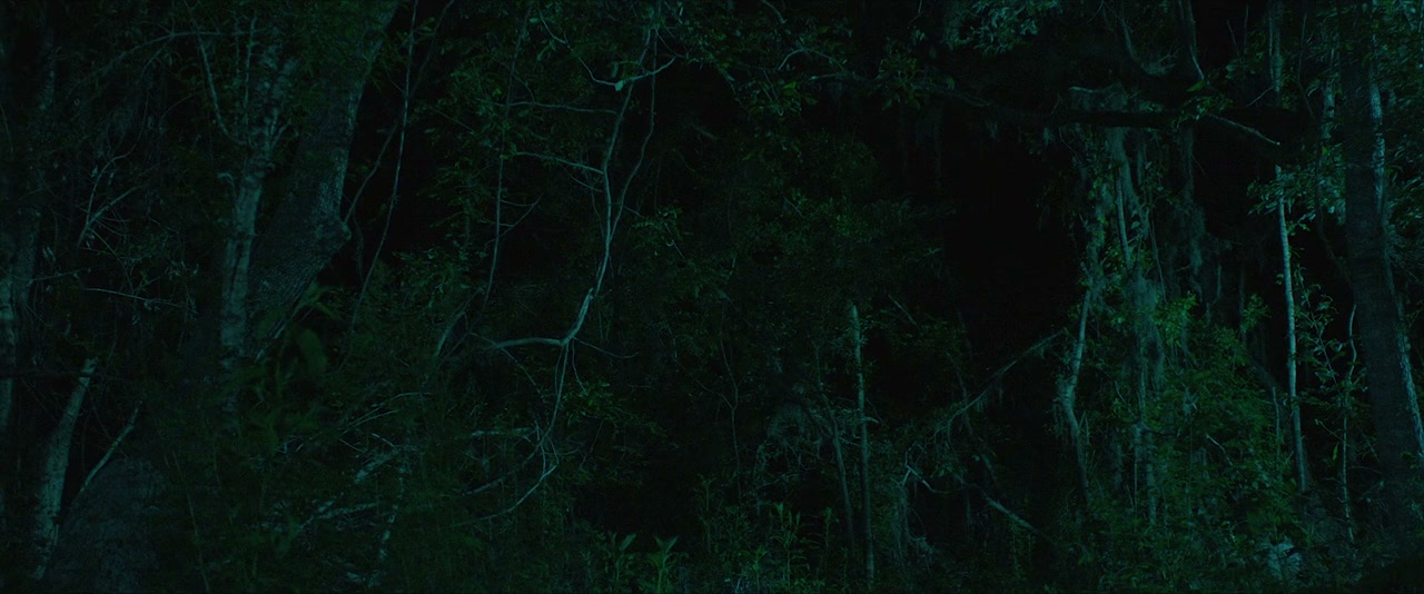 The Plantation screenshot 3