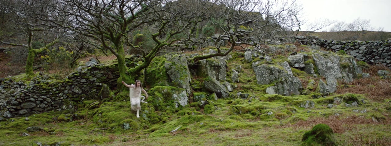 The Place of No Words screenshot 1