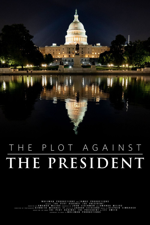 The Plot Against the President (2020) poster
