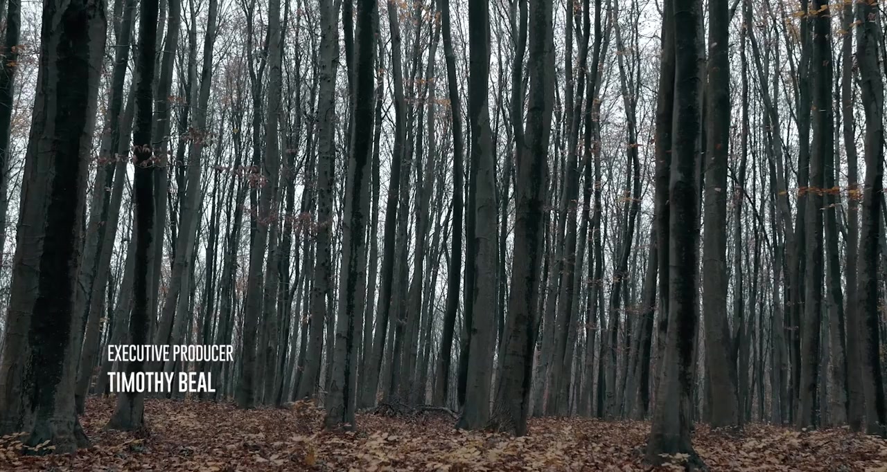 The Poltergeist Diaries screenshot 1