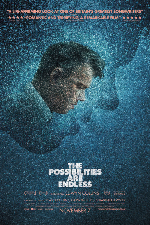 The Possibilities Are Endless (2014) poster