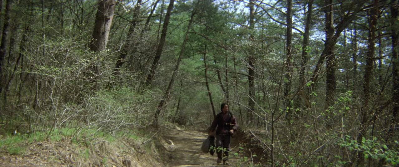 Xun cheng ma screenshot 1
